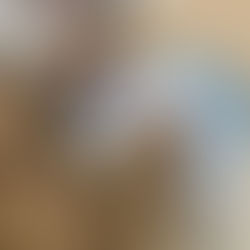 2026/2/25 ベトナム人技能実習生の病院に同行…