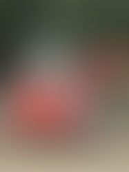 2023/9/11 建設機械施工(掘削)の初級技能検定@神奈川