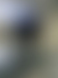 2023/7/24 東京!とび随時三級技能検定!