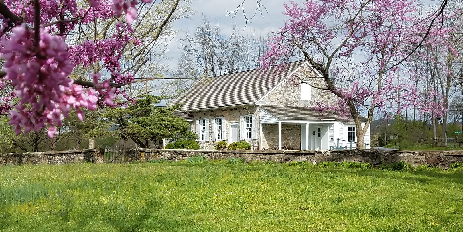 20190421_Redbud.on.Easter.morning_dressed.jpg