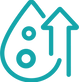 Mineral Absorption_2x.png