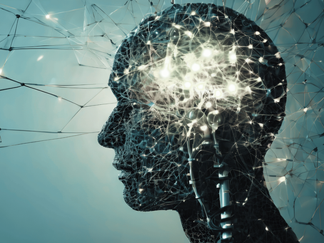 JY BioMed Announces Publication in Cancer Letters: Novel Heavy-Chain ADC Demonstrates Breakthrough Efficacy Against Brain Metastases