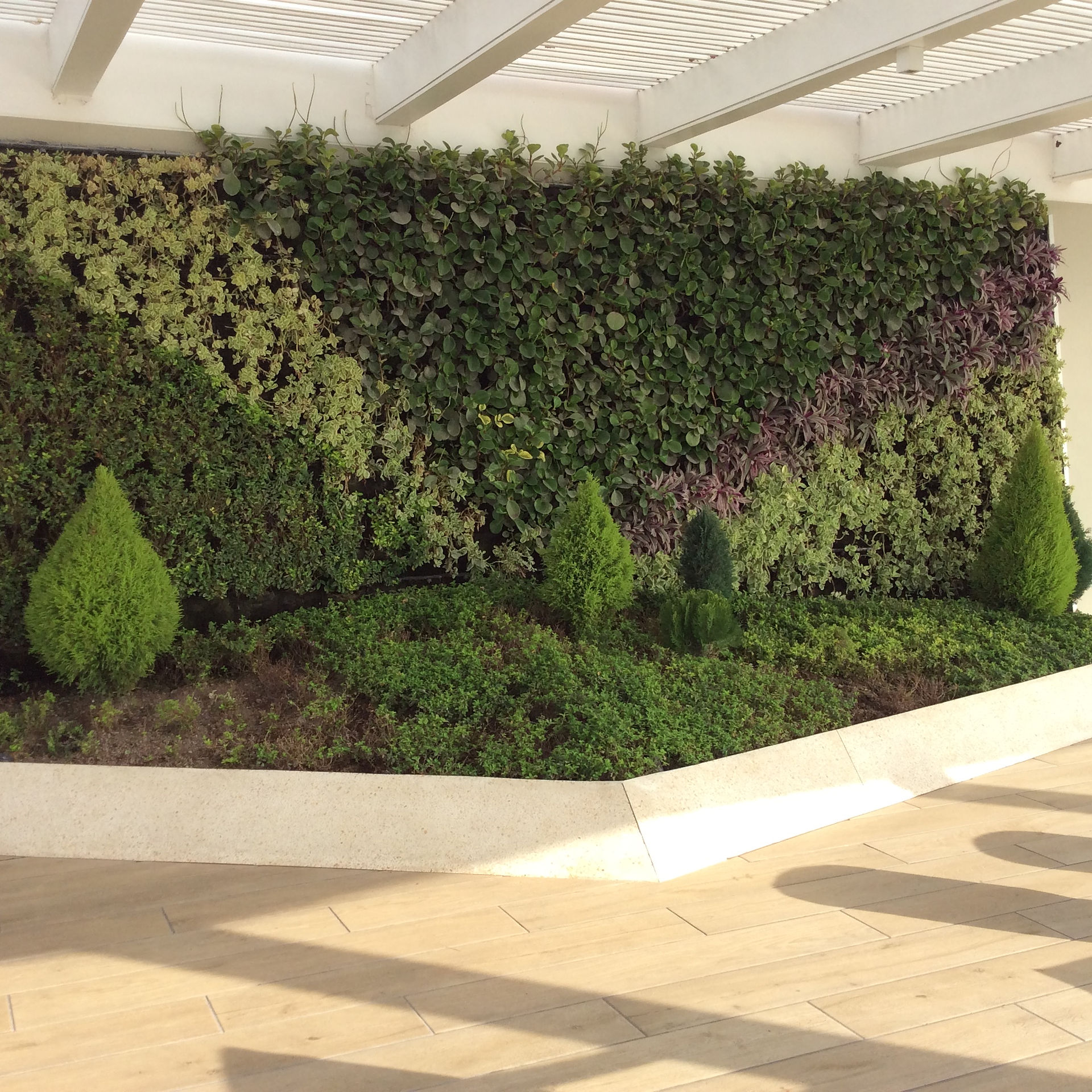 5 JARDIN VERTICAL 4 - copia