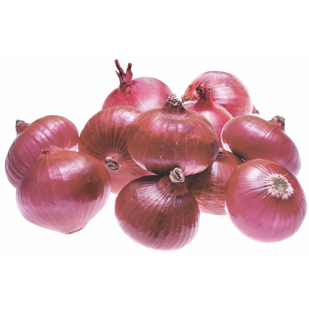 Indian Onion