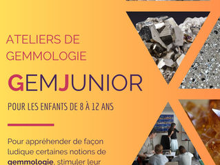 GemJunior n°7 du 15 mars 2025 à 14h30