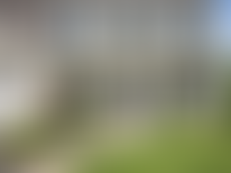 Beautifully staged Fairfax County home exterior with neutral paint, refreshed landscaping, modern front door, and strong curb appeal designed to maximize ROI before selling.