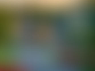 Hyper-realistic professional real estate photography, high-end DSLR camera, natural lighting, perfect exposure, photorealistic: Capture a wide establishing shot of a picturesque residential neighborhood in Woodbridge, Virginia, during the golden hour. The scene should include well-maintained single-family homes with unique architectural styles, surrounded by lush greenery and colorful flowering plants typical for the area. The lighting highlights the warmth of community life, inviting Move-Up Buyers to envision their future in such an idyllic setting. NO text, signs, billboards, or readable words anywhere.