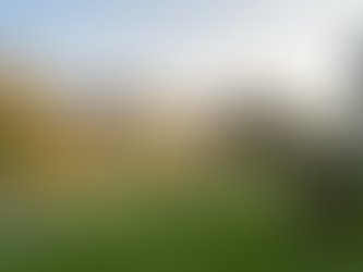 Woodbridge Virginia residential neighborhood with single-family homes at golden hour — Sarkis Real Estate