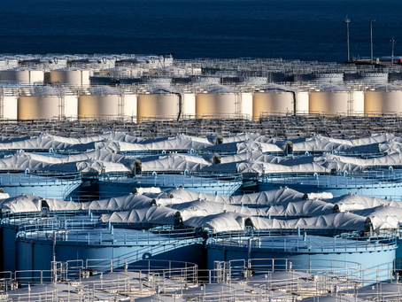 Japan Nuclear Waste