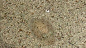 Marine Science Camp