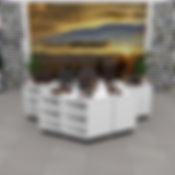 Fossil Retail Concept