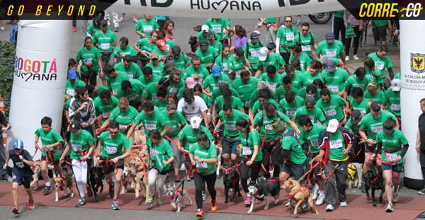 Carrera de Canicross