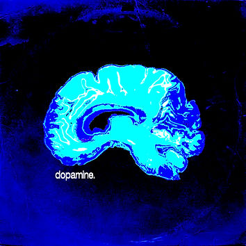 Cover art for Noah Calderan's single "Dopamine", dark blue background with light blue MRI scan of a brain