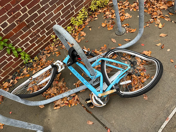 snowplowbiketaco.jpg