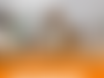 Why Consciousness Expansion Is No Longer Optional for Thriving Human Connection