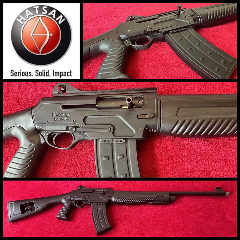 Thumbnail: Hatsan Escort Raider 12 gauge semi auto FAC rated 10 + 1