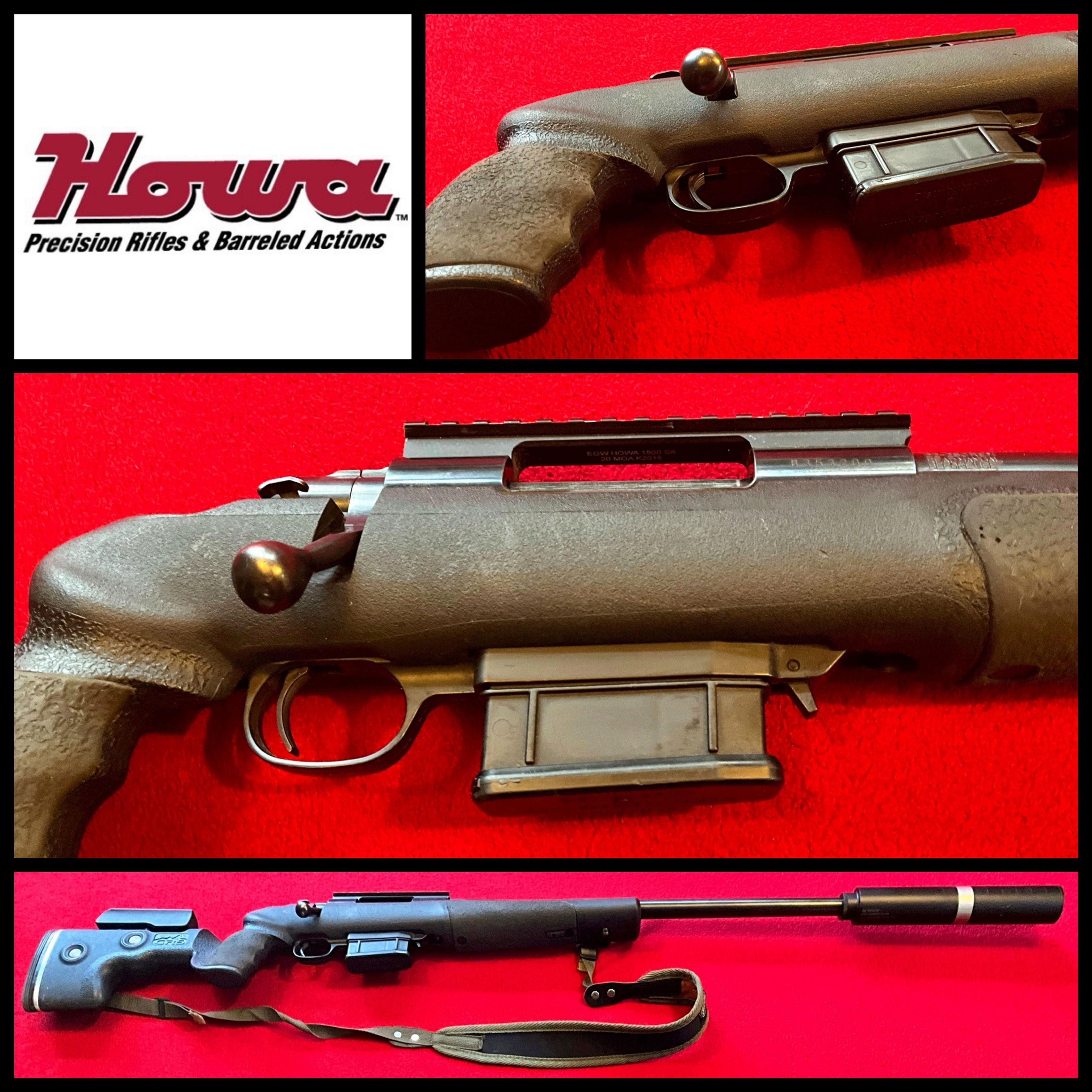 Howa 1500 .22-250 Varmint