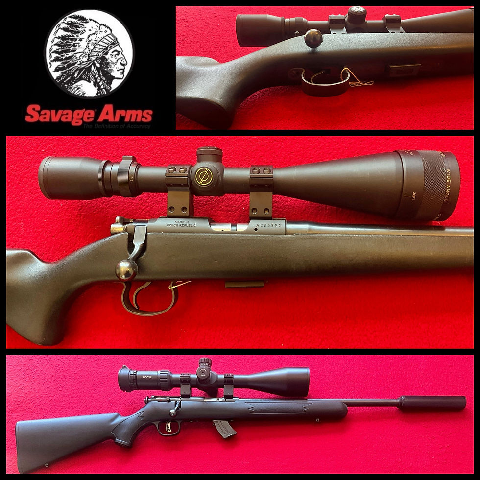 Savage Mark II .22LR package
