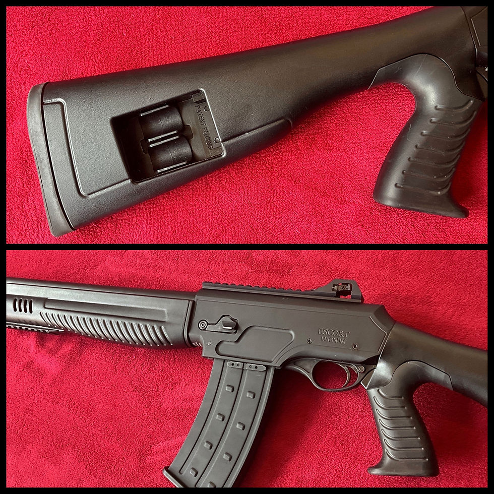 Thumbnail: Hatsan Escort Raider 12 gauge semi auto FAC rated 10 + 1