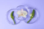 shutterstock_2089160017.jpg