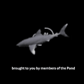 pondShark.gif