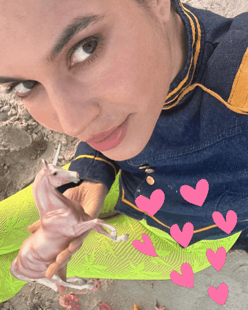 giphy (82).gif