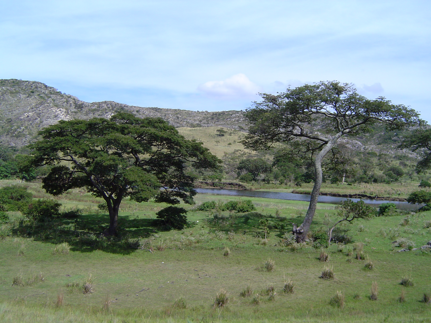 Campos - Lapinha da Serra