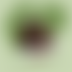 Metropolitan Okul Olgunluğu Testi: Çocuğunuzun İlkokula Hazırlık Düzeyini Değerlendirin