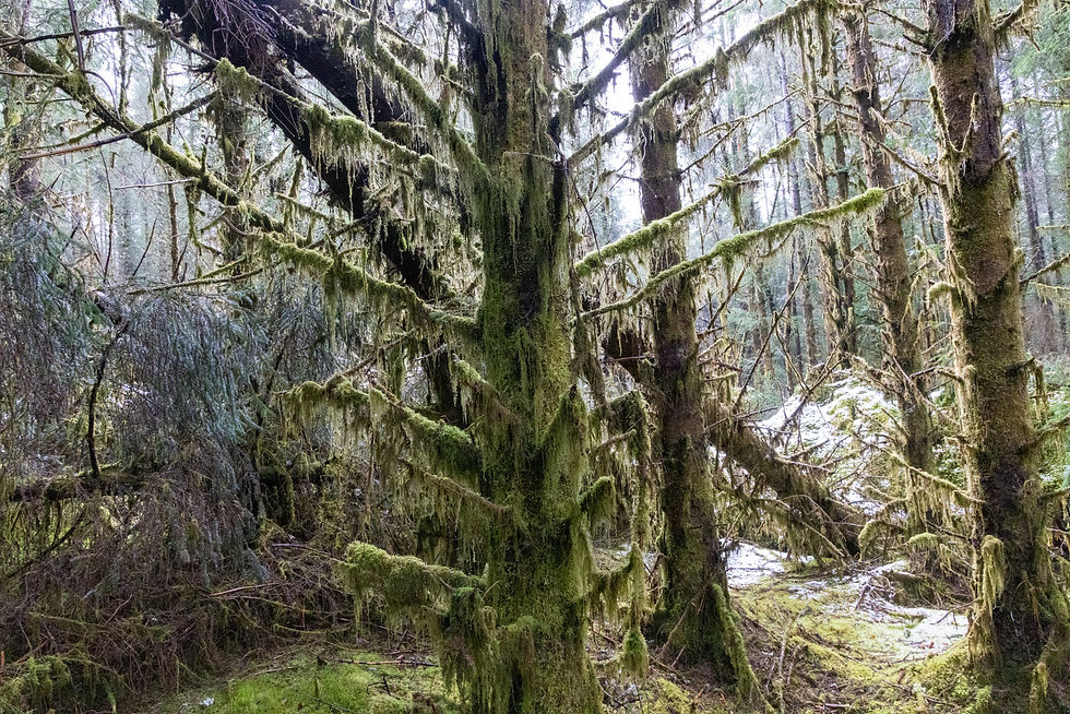 ‎⁨Dalmally⁩, ⁨Scotland⁩, ⁨United Kingdom⁩