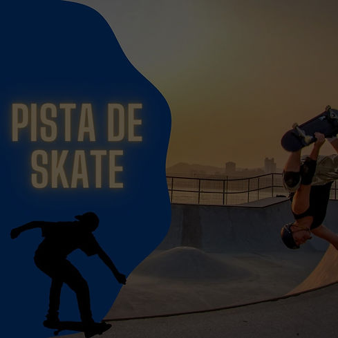 pista de skate_edited.jpg