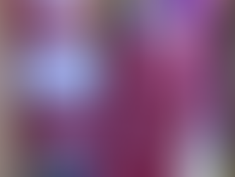 Tracy Robins announces campaign for SC House 75