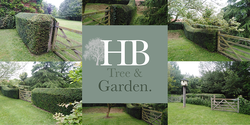Hedges.png