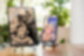 The Tintype Company - -8765.jpg