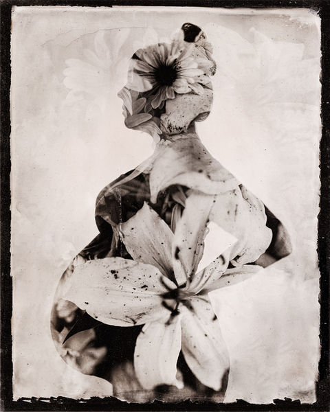 Patrick_Cavan_Brown_Piche-Flowers-8x10-.jpg