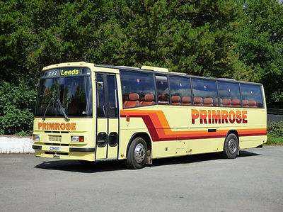 C39CWT Primrose.jpg