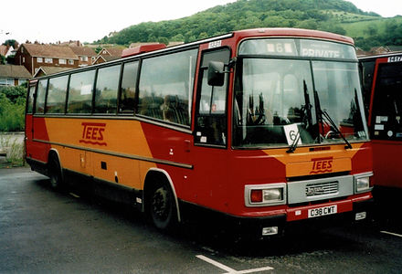 Tees yellow red diagonal.jpg