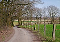 munsterland-2137656_1280.jpg