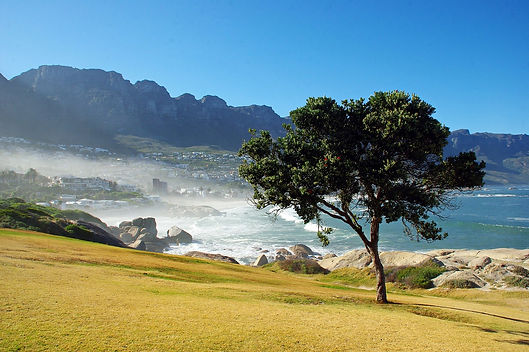 south-africa-1037344_1280.jpg