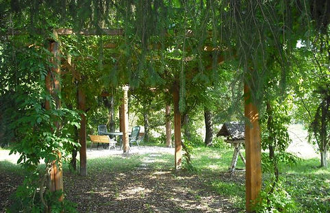 Le pergole ombrose del giardino