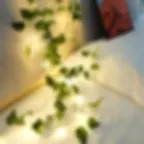 Thumbnail: EverLeaf LED Vines