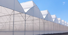 Naturally Ventilated Semi-Controlled Greenhouses