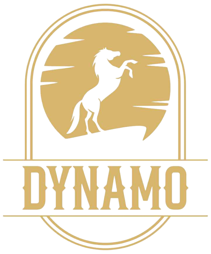 dynamorb1-logo.png
