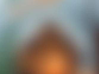 Start a New Holiday Tradition!