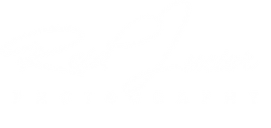 reid logo_white.png