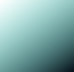 Container (1).png