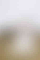 Wedding at Florence Guest Farm