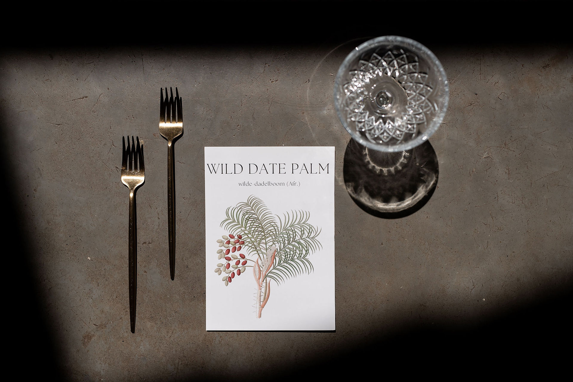 Best Wedding Planner in Cape Town 