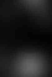 Wedding at Florence Guest Farm