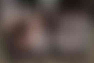 Wedding at Florence Guest Farm