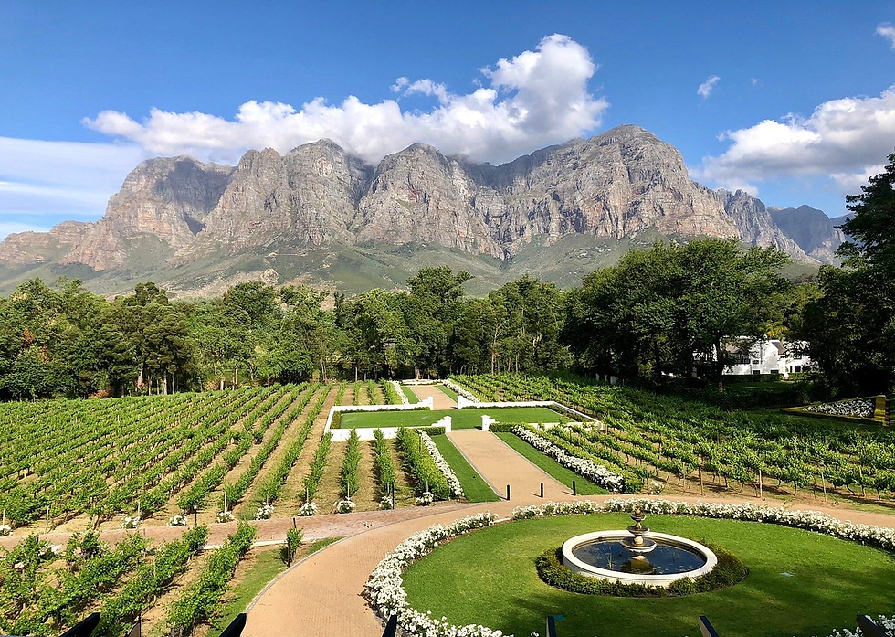 MolenVliet Vineyards Wedding Venue